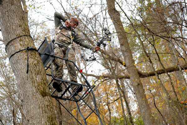 Bow Hunter At Full Draw In a Ladder Stand Bow Hunter At Full Draw In a Ladder Stand