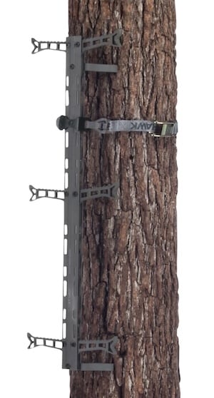Hawk Helium Climbing Stick Attached To A Tree Hawk Helium Climbing Stick Attached To A Tree