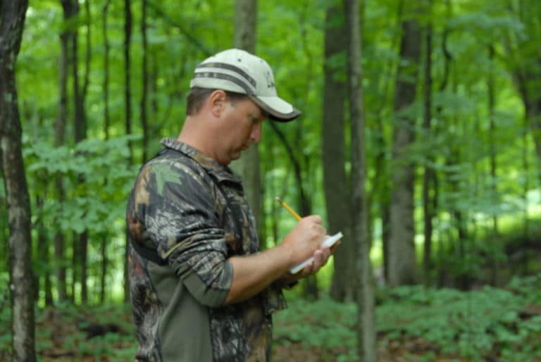 How To Get Deer To Come Out During The Day Tips For Hunting Success