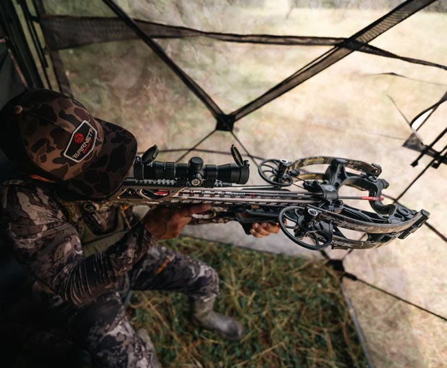 Shooting The Barnett Hyper Raptor T-Rex From A Ground Blind Shooting The Barnett Hyper Raptor T-Rex From A Ground Blind
